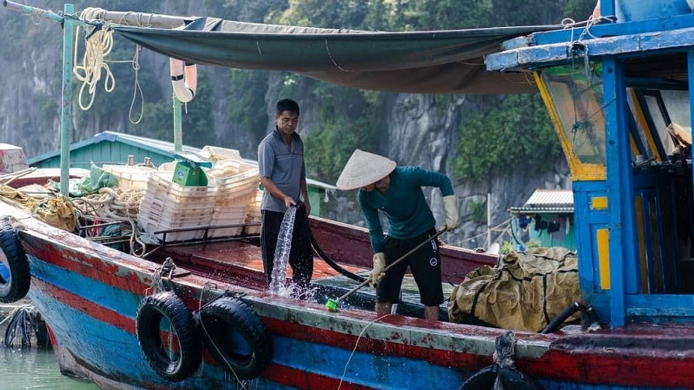 Đảo Bạch Long Vĩ